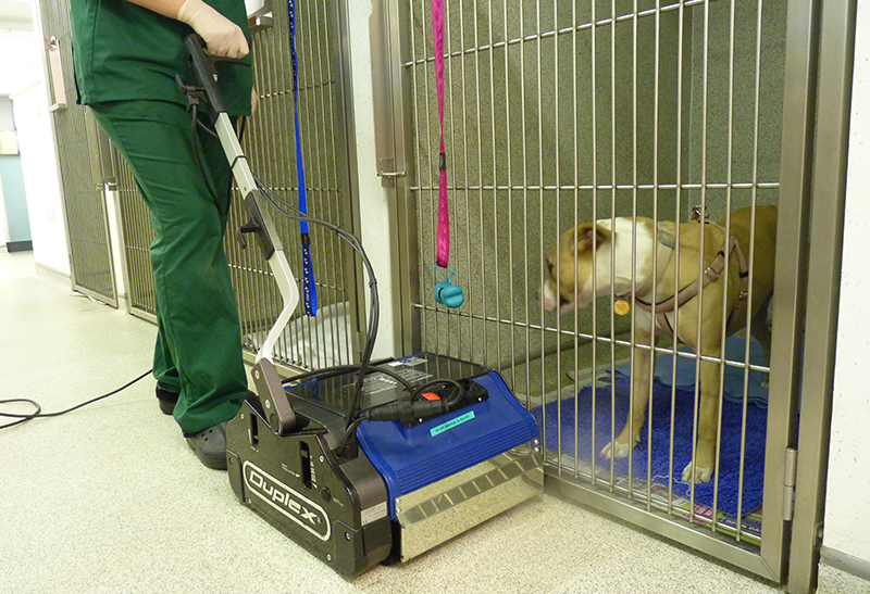 Kennel Cleaning