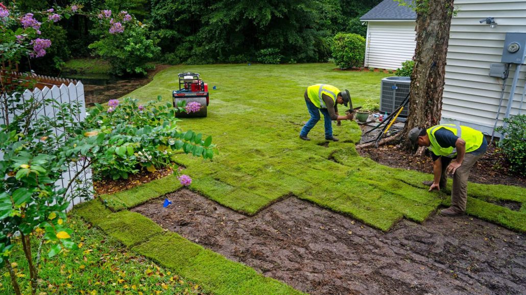 Seasonal Landscaping Expertise